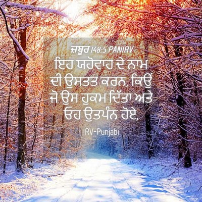 Picture 04 - ਜ਼ਬੂਰ 148:5 PANIRV - ਇਹ ਯਹੋਵਾਹ ਦੇ ਨਾਮ ਦੀ - Bible Verse Picture