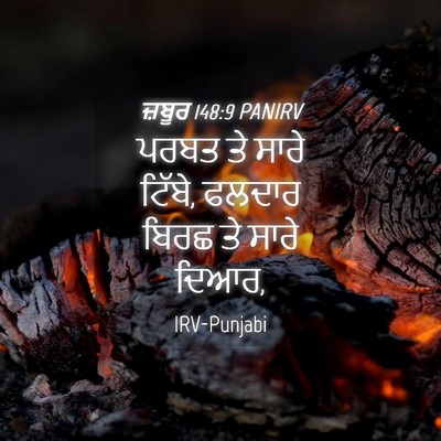 Picture 04 - ਜ਼ਬੂਰ 148:9 PANIRV - ਪਰਬਤ ਤੇ ਸਾਰੇ ਟਿੱਬੇ, - Bible Verse Picture