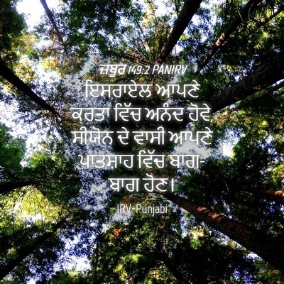 Picture 04 - ਜ਼ਬੂਰ 149:2 PANIRV - ਇਸਰਾਏਲ ਆਪਣੇ ਕਰਤਾ - Bible Verse Picture
