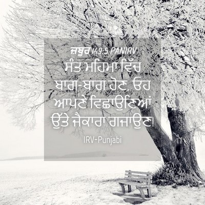 Picture 04 - ਜ਼ਬੂਰ 149:5 PANIRV - ਸੰਤ ਮਹਿਮਾ ਵਿੱਚ - Bible Verse Picture