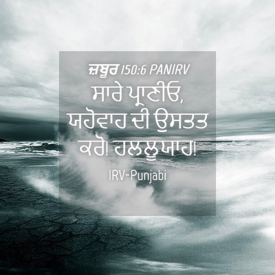 Picture 04 - ਜ਼ਬੂਰ 150:6 PANIRV - ਸਾਰੇ ਪ੍ਰਾਣੀਓ, - Bible Verse Picture