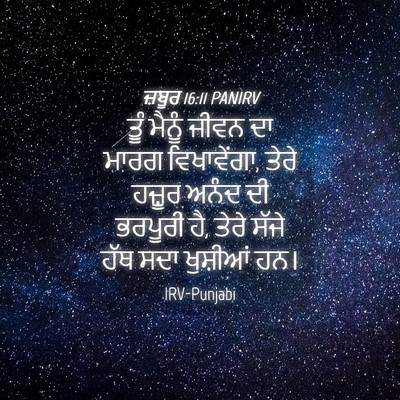 Picture 04 - ਜ਼ਬੂਰ 16:11 PANIRV - ਤੂੰ ਮੈਨੂੰ ਜੀਵਨ ਦਾ - Bible Verse Picture