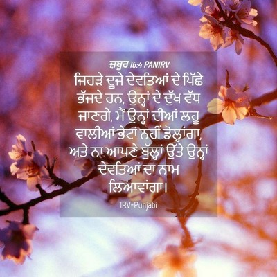 Picture 04 - ਜ਼ਬੂਰ 16:4 PANIRV - ਜਿਹੜੇ ਦੂਜੇ - Bible Verse Picture