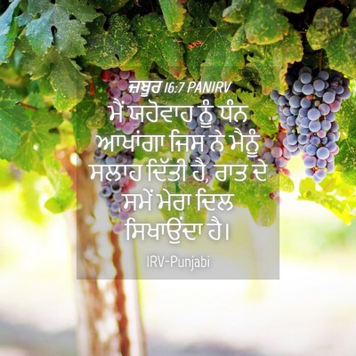 Picture 04 - ਜ਼ਬੂਰ 16:7 PANIRV - ਮੈਂ ਯਹੋਵਾਹ ਨੂੰ ਧੰਨ - Bible Verse Picture