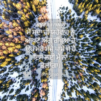 Picture 04 - ਜ਼ਬੂਰ 16:8 PANIRV - ਮੈਂ ਸਦਾ ਹੀ ਯਹੋਵਾਹ - Bible Verse Picture