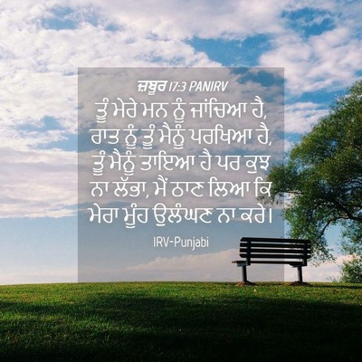 Picture 04 - ਜ਼ਬੂਰ 17:3 PANIRV - ਤੂੰ ਮੇਰੇ ਮਨ ਨੂੰ - Bible Verse Picture