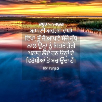 Picture 04 - ਜ਼ਬੂਰ 17:7 PANIRV - ਆਪਣੀ ਅਚਰਜ਼ ਦਯਾ - Bible Verse Picture