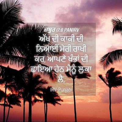 Picture 04 - ਜ਼ਬੂਰ 17:8 PANIRV - ਅੱਖ ਦੀ ਕਾਕੀ ਦੀ - Bible Verse Picture
