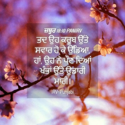 Picture 04 - ਜ਼ਬੂਰ 18:10 PANIRV - ਤਦ ਉਹ ਕਰੂਬ ਉੱਤੇ - Bible Verse Picture