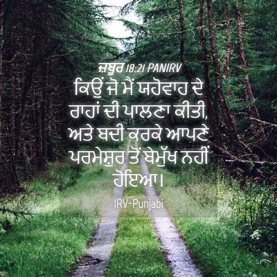 Picture 04 - ਜ਼ਬੂਰ 18:21 PANIRV - ਕਿਉਂ ਜੋ ਮੈਂ ਯਹੋਵਾਹ - Bible Verse Picture