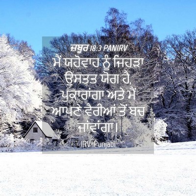 Picture 04 - ਜ਼ਬੂਰ 18:3 PANIRV - ਮੈਂ ਯਹੋਵਾਹ ਨੂੰ - Bible Verse Picture