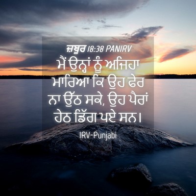 Picture 04 - ਜ਼ਬੂਰ 18:38 PANIRV - ਮੈਂ ਉਨ੍ਹਾਂ ਨੂੰ - Bible Verse Picture