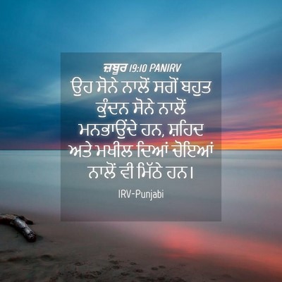 Picture 04 - ਜ਼ਬੂਰ 19:10 PANIRV - ਉਹ ਸੋਨੇ ਨਾਲੋਂ ਸਗੋਂ - Bible Verse Picture