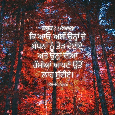 Picture 04 - ਜ਼ਬੂਰ 2:3 PANIRV - ਕਿ ਆਓ, ਅਸੀਂ ਉਨ੍ਹਾਂ - Bible Verse Picture
