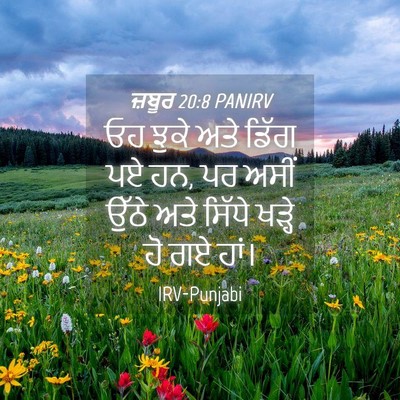 Picture 04 - ਜ਼ਬੂਰ 20:8 PANIRV - ਓਹ ਝੁਕੇ ਅਤੇ ਡਿੱਗ ਪਏ - Bible Verse Picture