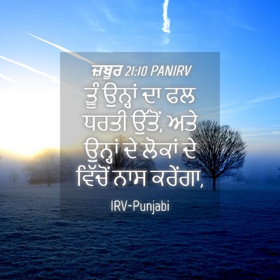 Picture 04 - ਜ਼ਬੂਰ 21:10 PANIRV - ਤੂੰ ਉਨ੍ਹਾਂ ਦਾ ਫਲ - Bible Verse Picture