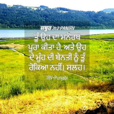 Picture 04 - ਜ਼ਬੂਰ 21:2 PANIRV - ਤੂੰ ਉਹ ਦਾ ਮਨੋਰਥ - Bible Verse Picture