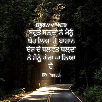 Picture 04 - ਜ਼ਬੂਰ 22:12 PANIRV - ਬਹੁਤੇ ਬਲ਼ਦਾਂ ਨੇ - Bible Verse Picture