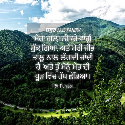 Picture 04 - ਜ਼ਬੂਰ 22:15 PANIRV - ਮੇਰਾ ਗਲ਼ਾ ਠੀਕਰੇ - Bible Verse Picture
