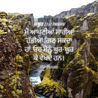 Picture 04 - ਜ਼ਬੂਰ 22:17 PANIRV - ਮੈਂ ਆਪਣੀਆਂ ਸਾਰੀਆਂ - Bible Verse Picture