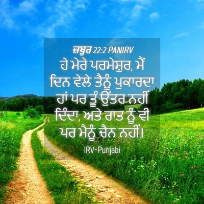 Picture 04 - ਜ਼ਬੂਰ 22:2 PANIRV - ਹੇ ਮੇਰੇ ਪਰਮੇਸ਼ੁਰ, - Bible Verse Picture