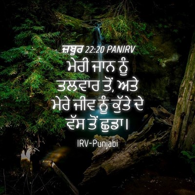 Picture 04 - ਜ਼ਬੂਰ 22:20 PANIRV - ਮੇਰੀ ਜਾਨ ਨੂੰ ਤਲਵਾਰ - Bible Verse Picture
