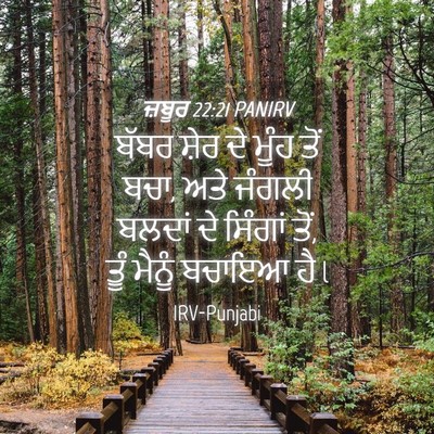 Picture 04 - ਜ਼ਬੂਰ 22:21 PANIRV - ਬੱਬਰ ਸ਼ੇਰ ਦੇ ਮੂੰਹ - Bible Verse Picture