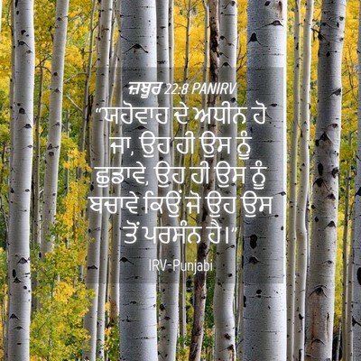 Picture 04 - ਜ਼ਬੂਰ 22:8 PANIRV - “ਯਹੋਵਾਹ ਦੇ ਅਧੀਨ ਹੋ - Bible Verse Picture