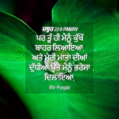 Picture 04 - ਜ਼ਬੂਰ 22:9 PANIRV - ਪਰ ਤੂੰ ਹੀ ਮੈਨੂੰ - Bible Verse Picture