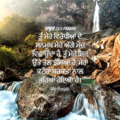 Picture 04 - ਜ਼ਬੂਰ 23:5 PANIRV - ਤੂੰ ਮੇਰੇ ਵਿਰੋਧੀਆਂ - Bible Verse Picture