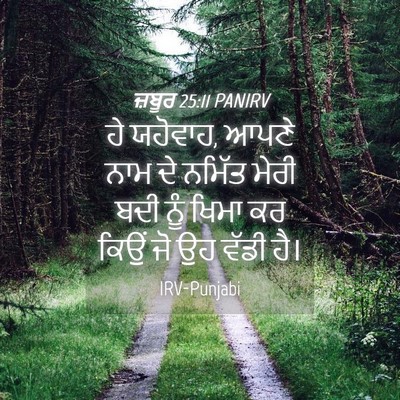 Picture 04 - ਜ਼ਬੂਰ 25:11 PANIRV - ਹੇ ਯਹੋਵਾਹ, ਆਪਣੇ ਨਾਮ - Bible Verse Picture