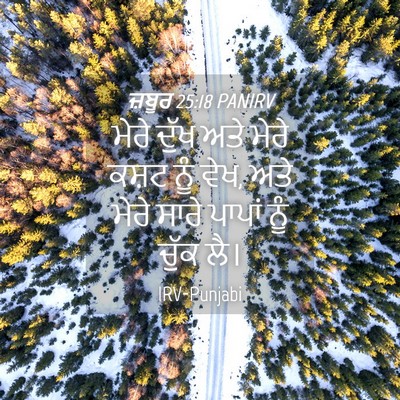Picture 04 - ਜ਼ਬੂਰ 25:18 PANIRV - ਮੇਰੇ ਦੁੱਖ ਅਤੇ ਮੇਰੇ - Bible Verse Picture