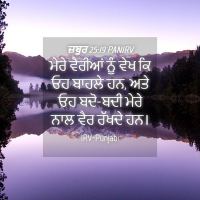 Picture 04 - ਜ਼ਬੂਰ 25:19 PANIRV - ਮੇਰੇ ਵੈਰੀਆਂ ਨੂੰ - Bible Verse Picture