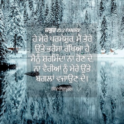Picture 04 - ਜ਼ਬੂਰ 25:2 PANIRV - ਹੇ ਮੇਰੇ ਪਰਮੇਸ਼ੁਰ, - Bible Verse Picture