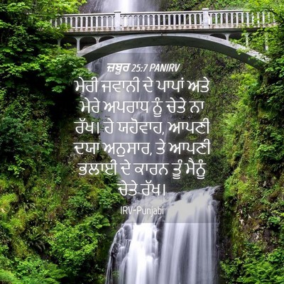 Picture 04 - ਜ਼ਬੂਰ 25:7 PANIRV - ਮੇਰੀ ਜਵਾਨੀ ਦੇ - Bible Verse Picture