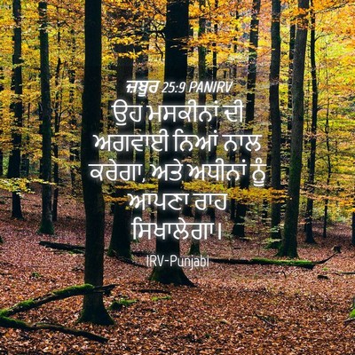 Picture 04 - ਜ਼ਬੂਰ 25:9 PANIRV - ਉਹ ਮਸਕੀਨਾਂ ਦੀ - Bible Verse Picture