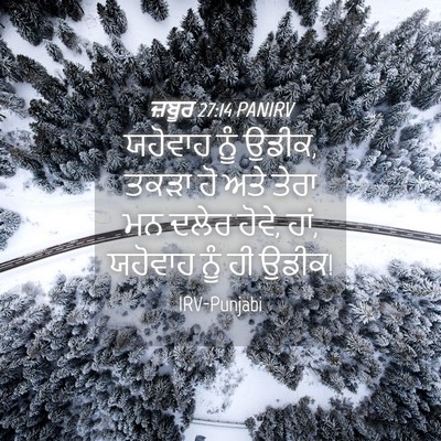 Picture 04 - ਜ਼ਬੂਰ 27:14 PANIRV - ਯਹੋਵਾਹ ਨੂੰ ਉਡੀਕ, - Bible Verse Picture