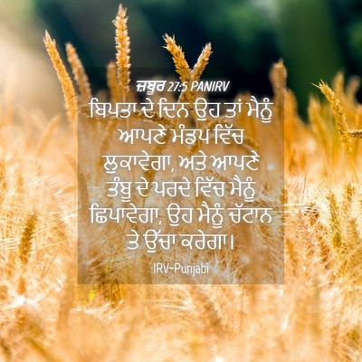 Picture 04 - ਜ਼ਬੂਰ 27:5 PANIRV - ਬਿਪਤਾ ਦੇ ਦਿਨ ਉਹ ਤਾਂ - Bible Verse Picture