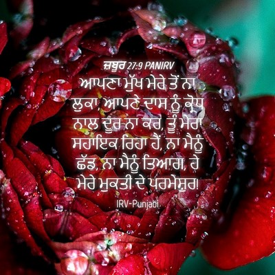 Picture 04 - ਜ਼ਬੂਰ 27:9 PANIRV - ਆਪਣਾ ਮੁੱਖ ਮੇਰੇ ਤੋਂ - Bible Verse Picture
