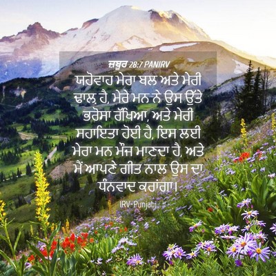 Picture 04 - ਜ਼ਬੂਰ 28:7 PANIRV - ਯਹੋਵਾਹ ਮੇਰਾ ਬਲ ਅਤੇ - Bible Verse Picture