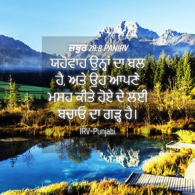 Picture 04 - ਜ਼ਬੂਰ 28:8 PANIRV - ਯਹੋਵਾਹ ਉਨ੍ਹਾਂ ਦਾ - Bible Verse Picture