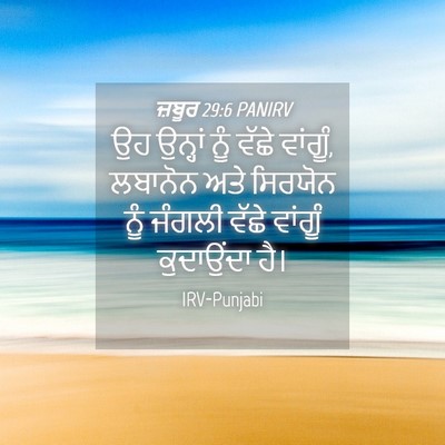 Picture 04 - ਜ਼ਬੂਰ 29:6 PANIRV - ਉਹ ਉਨ੍ਹਾਂ ਨੂੰ ਵੱਛੇ - Bible Verse Picture