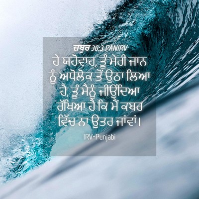 Picture 04 - ਜ਼ਬੂਰ 30:3 PANIRV - ਹੇ ਯਹੋਵਾਹ, ਤੂੰ ਮੇਰੀ - Bible Verse Picture
