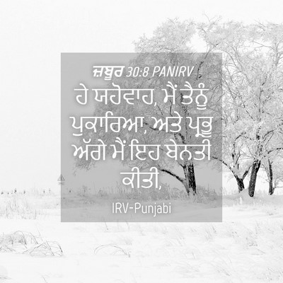 Picture 04 - ਜ਼ਬੂਰ 30:8 PANIRV - ਹੇ ਯਹੋਵਾਹ, ਮੈਂ - Bible Verse Picture