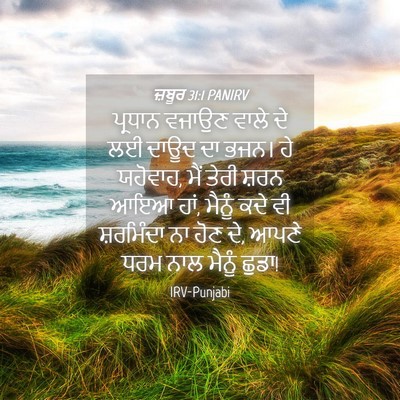 Picture 04 - ਜ਼ਬੂਰ 31:1 PANIRV - ਪ੍ਰਧਾਨ ਵਜਾਉਣ ਵਾਲੇ - Bible Verse Picture