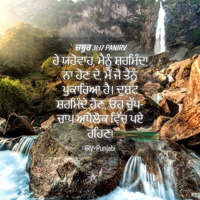 Picture 04 - ਜ਼ਬੂਰ 31:17 PANIRV - ਹੇ ਯਹੋਵਾਹ, ਮੈਨੂੰ - Bible Verse Picture