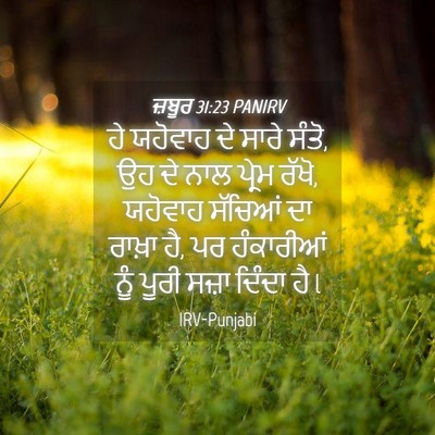 Picture 04 - ਜ਼ਬੂਰ 31:23 PANIRV - ਹੇ ਯਹੋਵਾਹ ਦੇ ਸਾਰੇ - Bible Verse Picture