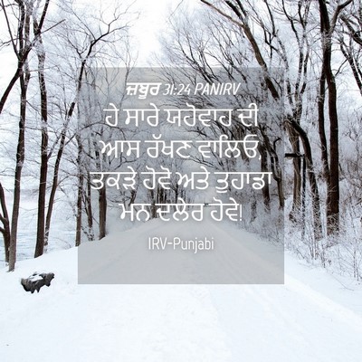 Picture 04 - ਜ਼ਬੂਰ 31:24 PANIRV - ਹੇ ਸਾਰੇ ਯਹੋਵਾਹ ਦੀ - Bible Verse Picture