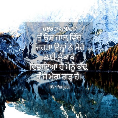Picture 04 - ਜ਼ਬੂਰ 31:4 PANIRV - ਤੂੰ ਉਸ ਜਾਲ਼ ਵਿੱਚੋਂ - Bible Verse Picture