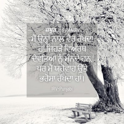 Picture 04 - ਜ਼ਬੂਰ 31:6 PANIRV - ਮੈਂ ਉਨ੍ਹਾਂ ਨਾਲ ਵੈਰ - Bible Verse Picture